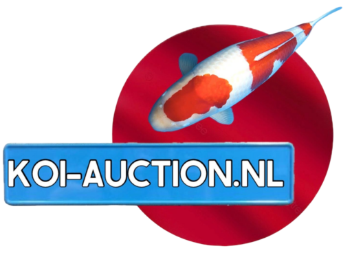 Koi-Auction