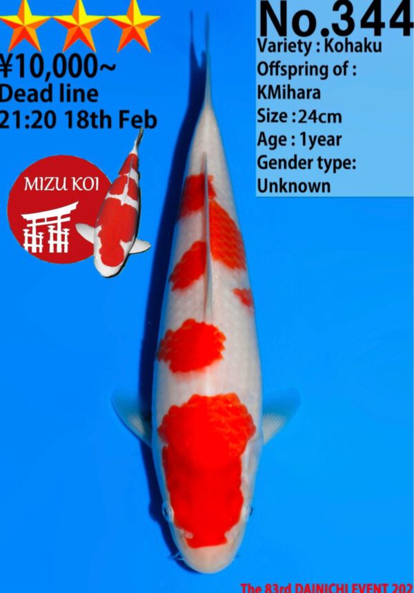 Kohaku (Dainichi)