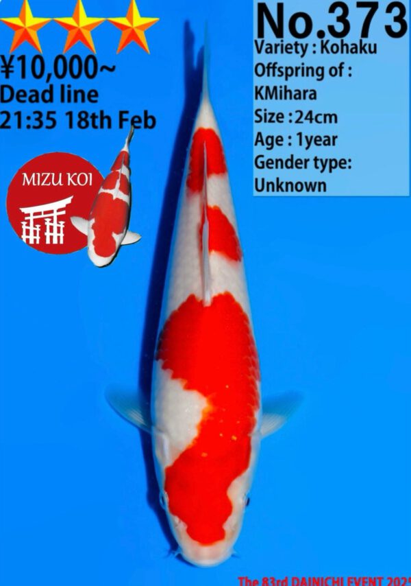 Kohaku (Dainichi)