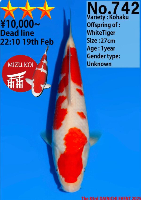 Kohaku (Dainichi)