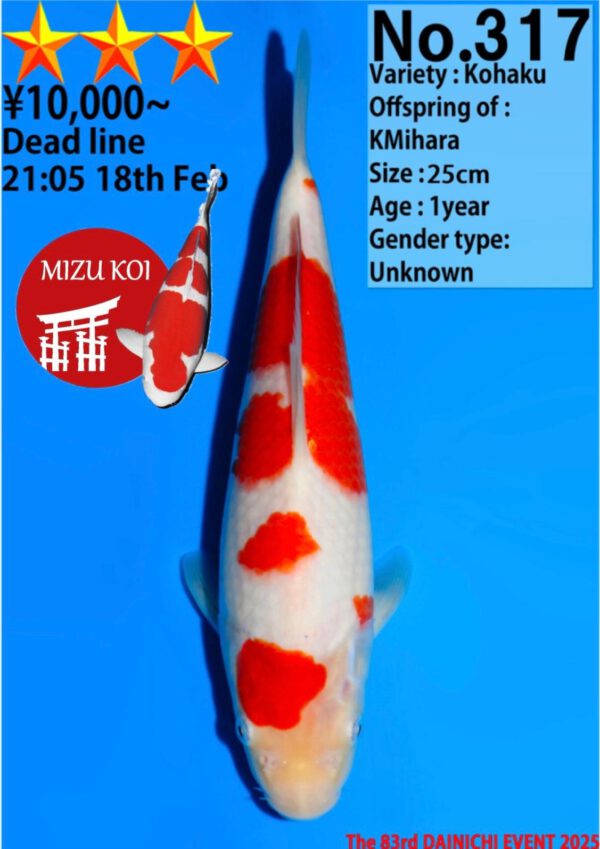 Kohaku (Dainichi)