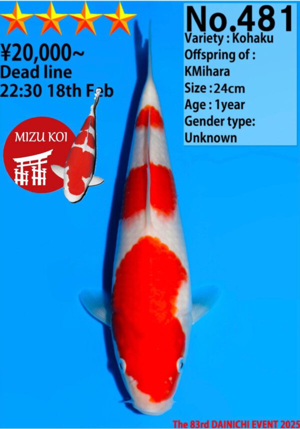 Kohaku (Dainichi)